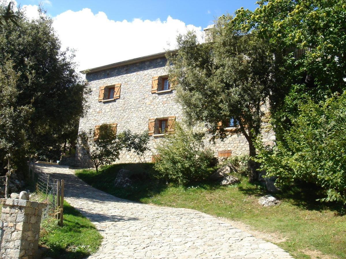 Chambre D'Hote "Chez Antoinette Et Charles" Santo-Pietro-di-Venaco Eksteriør billede